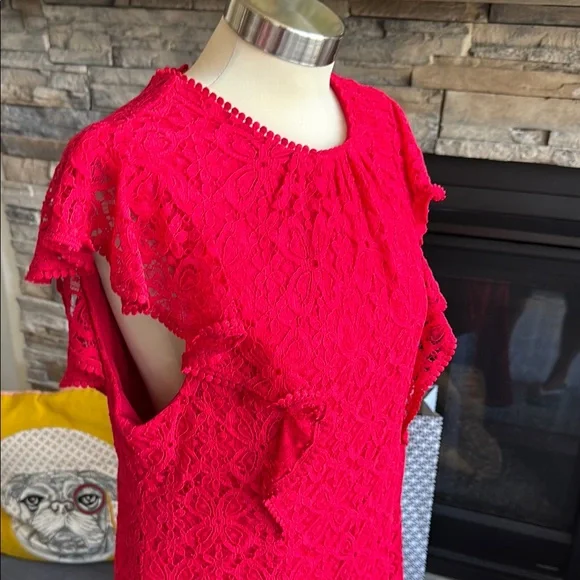 Julia Jordan Red Ruffled Mini Dress - Picture 11 of 14